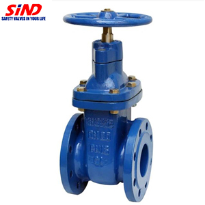 BS5163 Flanged Industrial Gate Valve